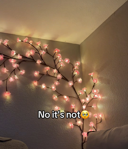 Cherry Blossom Lights