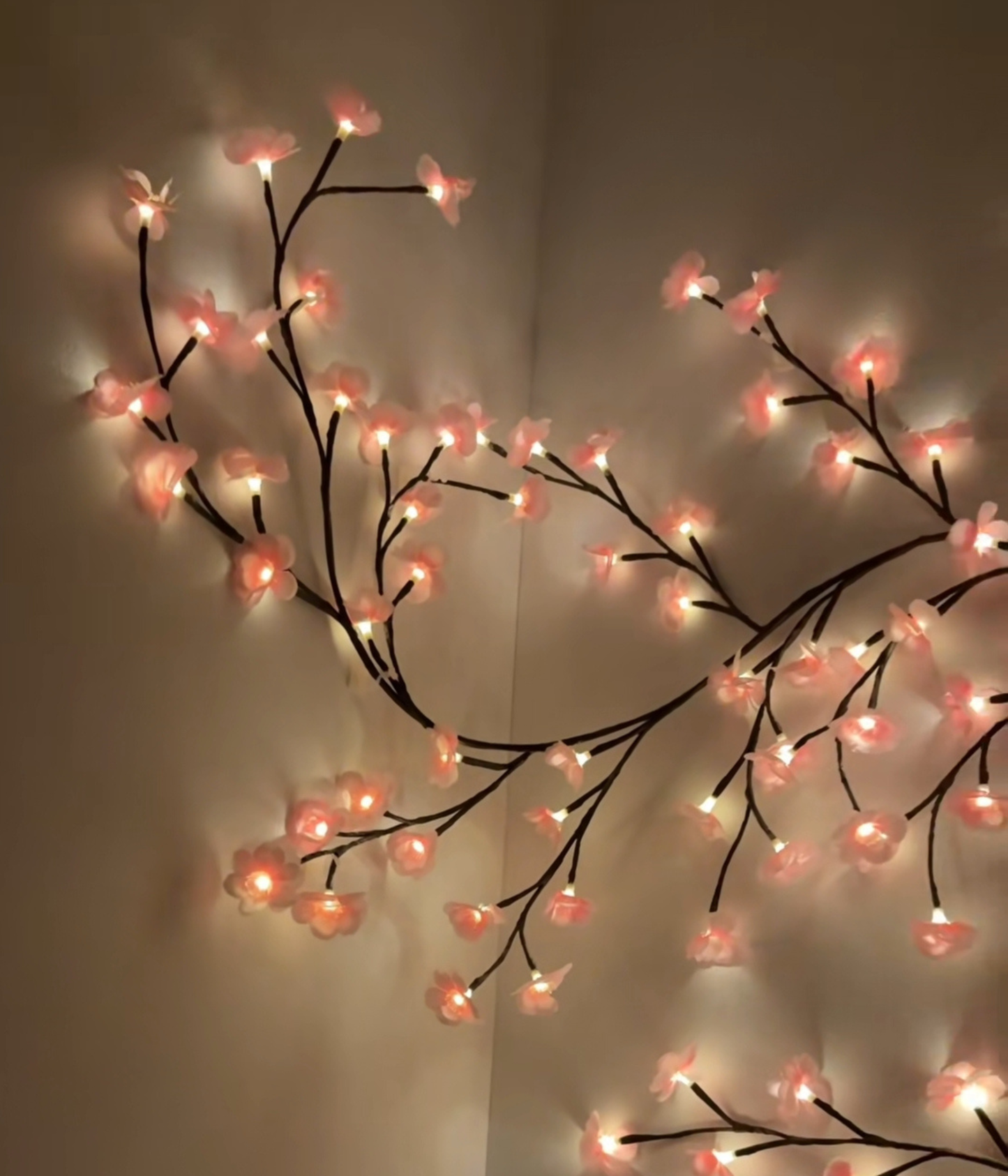 Cherry Blossom Lights