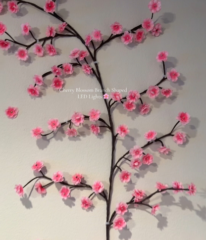 Cherry Blossom Lights